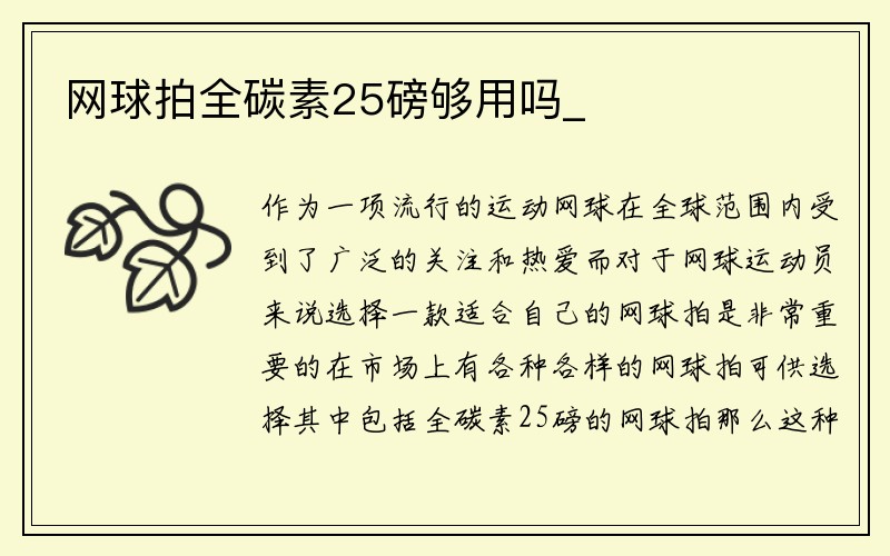 网球拍全碳素25磅够用吗_