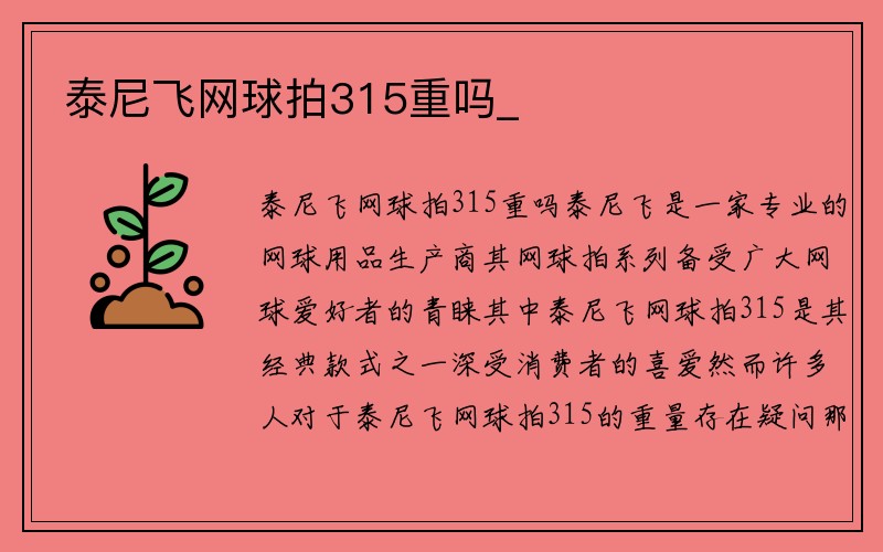 泰尼飞网球拍315重吗_