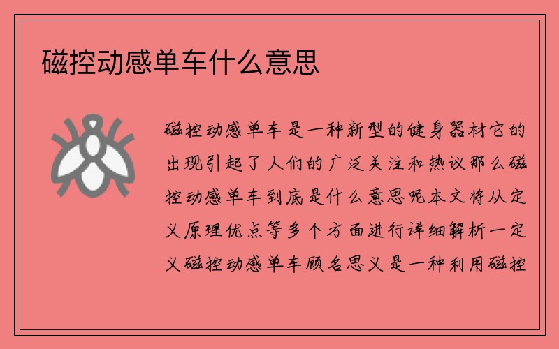 磁控动感单车什么意思