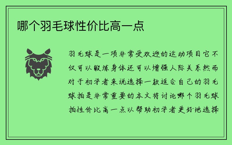 哪个羽毛球性价比高一点