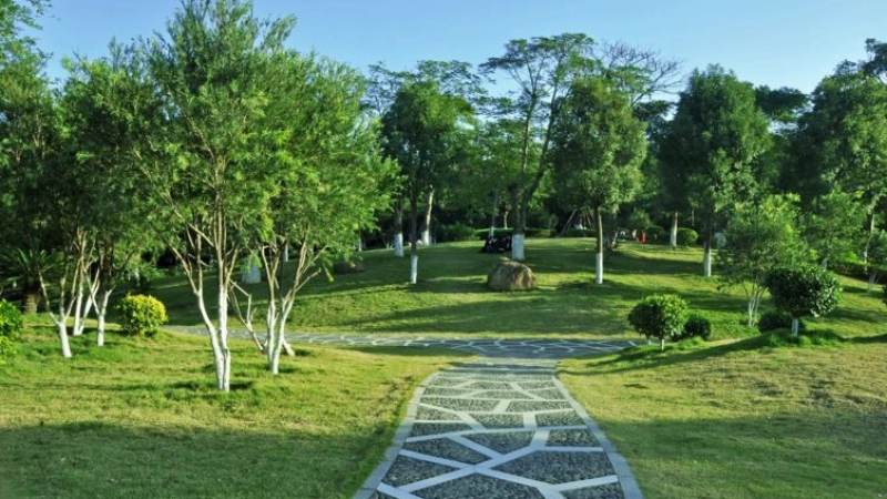 2026lol全球总决赛 工程案例 湖里区滨水公园